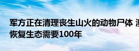 军方正在清理丧生山火的动物尸体 澳洲火山恢复生态需要100年