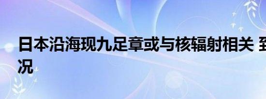 日本沿海现九足章或与核辐射相关 到底啥情况