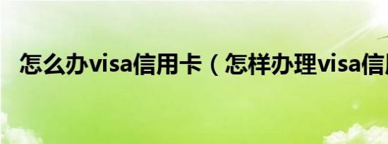 怎么办visa信用卡（怎样办理visa信用卡）