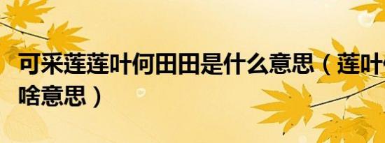 可采莲莲叶何田田是什么意思（莲叶何田田是啥意思）