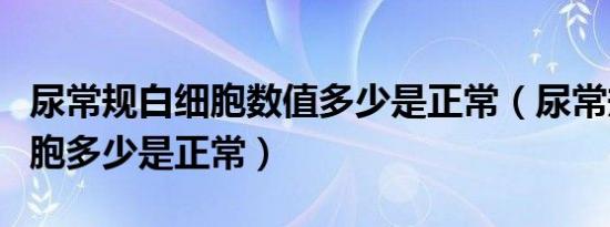 尿常规白细胞数值多少是正常（尿常规中白细胞多少是正常）
