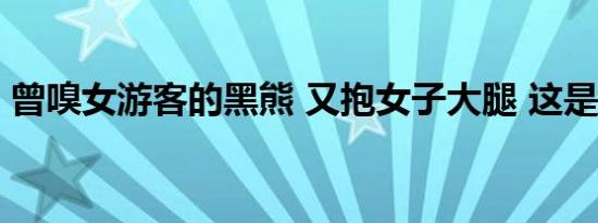 曾嗅女游客的黑熊 又抱女子大腿 这是怎样的