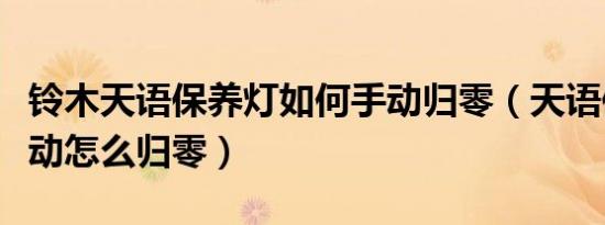 铃木天语保养灯如何手动归零（天语保养灯手动怎么归零）