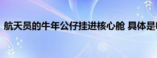航天员的牛年公仔挂进核心舱 具体是啥情况