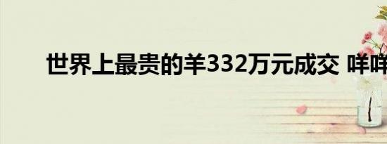 世界上最贵的羊332万元成交 咩咩咩