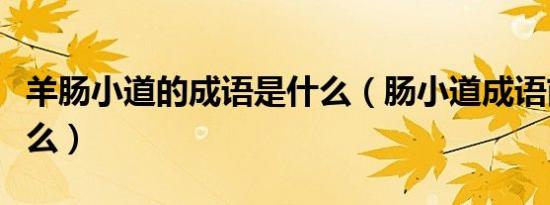 羊肠小道的成语是什么（肠小道成语前面是什么）
