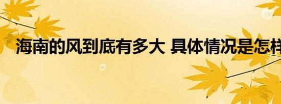 海南的风到底有多大 具体情况是怎样的呢