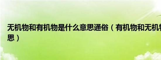 无机物和有机物是什么意思通俗（有机物和无机物是什么意思）