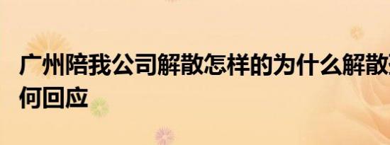 广州陪我公司解散怎样的为什么解散孙宇晨如何回应