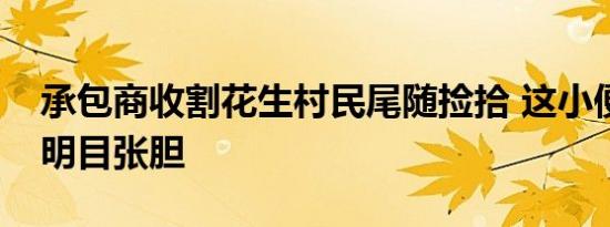 承包商收割花生村民尾随捡拾 这小便宜贪得明目张胆