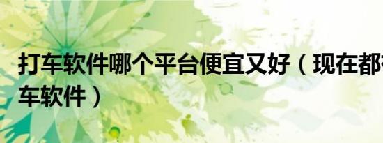 打车软件哪个平台便宜又好（现在都有什么打车软件）