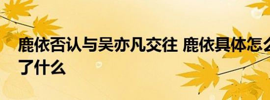 鹿依否认与吴亦凡交往 鹿依具体怎么否认说了什么
