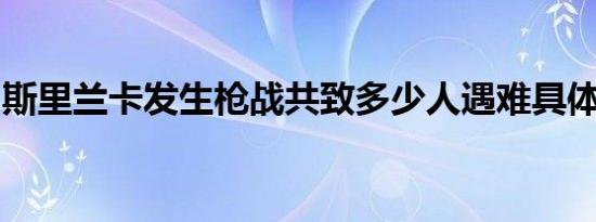 斯里兰卡发生枪战共致多少人遇难具体啥情况