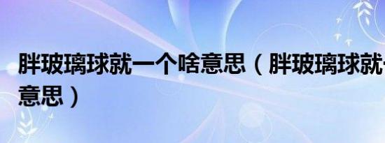 胖玻璃球就一个啥意思（胖玻璃球就一个什么意思）