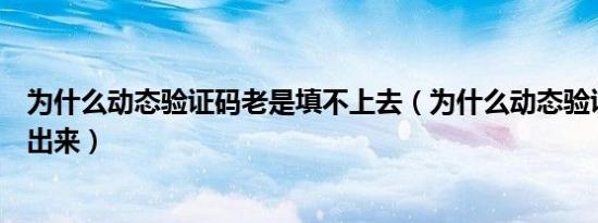 为什么动态验证码老是填不上去（为什么动态验证码显示不出来）