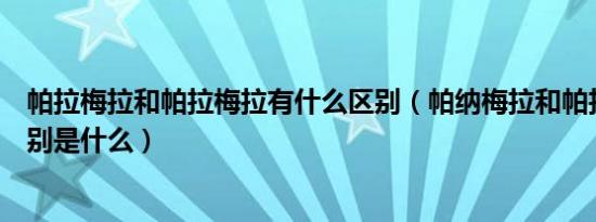 帕拉梅拉和帕拉梅拉有什么区别（帕纳梅拉和帕拉梅拉的区别是什么）