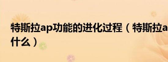 特斯拉ap功能的进化过程（特斯拉ap功能是什么）