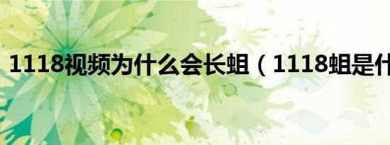 1118视频为什么会长蛆（1118蛆是什么梗）