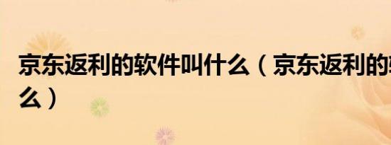 京东返利的软件叫什么（京东返利的软件叫什么）