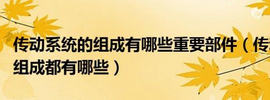 传动系统的组成有哪些重要部件（传动系统的组成都有哪些）