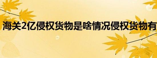 海关2亿侵权货物是啥情况侵权货物有多少件