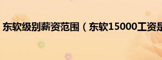 东软级别薪资范围（东软15000工资是几级）