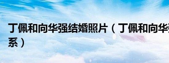 丁佩和向华强结婚照片（丁佩和向华强什么关系）