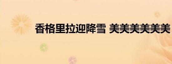 香格里拉迎降雪 美美美美美美
