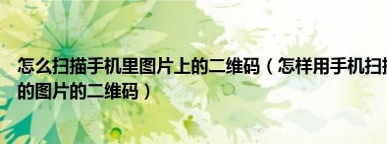 怎么扫描手机里图片上的二维码（怎样用手机扫描手机内部的图片的二维码）