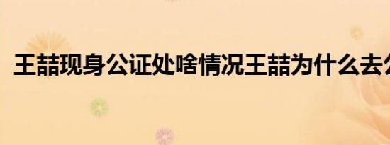 王喆现身公证处啥情况王喆为什么去公证处