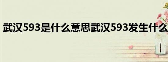 武汉593是什么意思武汉593发生什么事情了