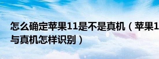 怎么确定苹果11是不是真机（苹果11高仿机与真机怎样识别）