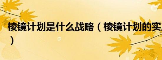 棱镜计划是什么战略（棱镜计划的实质是什么）