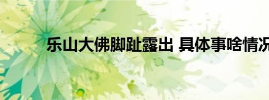 乐山大佛脚趾露出 具体事啥情况