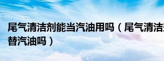 尾气清洁剂能当汽油用吗（尾气清洁剂可以代替汽油吗）