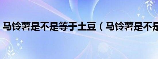 马铃薯是不是等于土豆（马铃薯是不是土豆）
