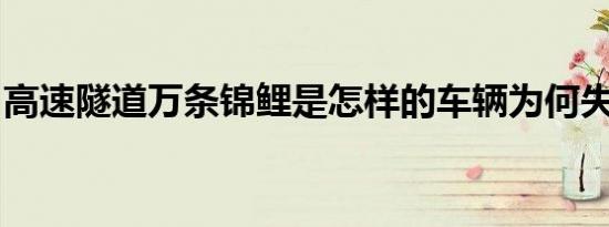 高速隧道万条锦鲤是怎样的车辆为何失控翻车