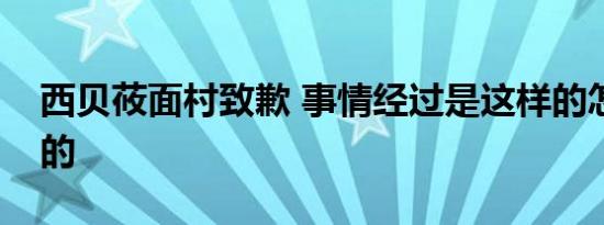 西贝莜面村致歉 事情经过是这样的怎么道歉的