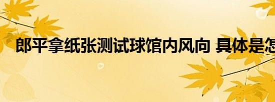 郎平拿纸张测试球馆内风向 具体是怎样的