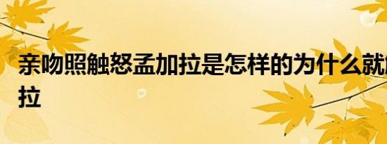 亲吻照触怒孟加拉是怎样的为什么就触怒孟加拉
