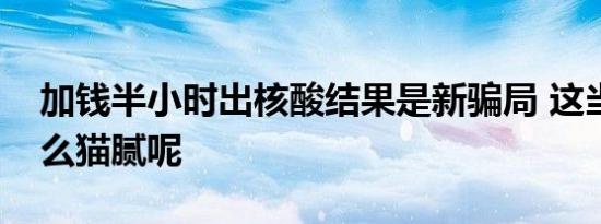 加钱半小时出核酸结果是新骗局 这当中有什么猫腻呢