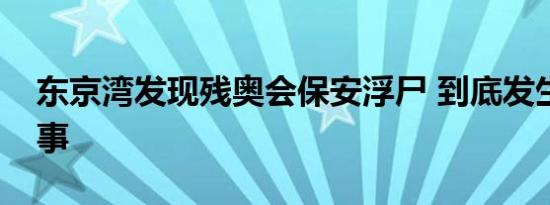 东京湾发现残奥会保安浮尸 到底发生了什么事