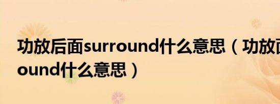 功放后面surround什么意思（功放面板surround什么意思）