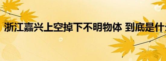 浙江嘉兴上空掉下不明物体 到底是什么东西