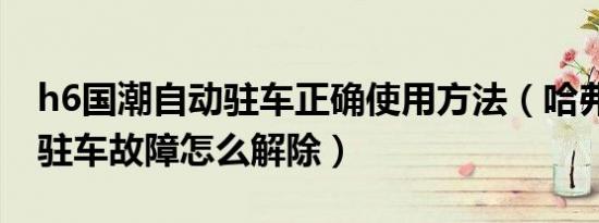h6国潮自动驻车正确使用方法（哈弗h6自动驻车故障怎么解除）