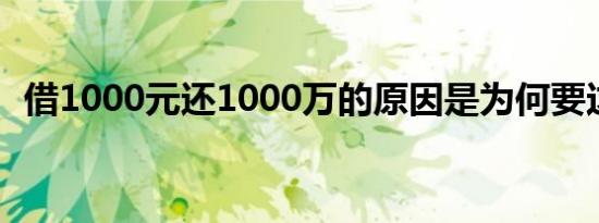 借1000元还1000万的原因是为何要这么做