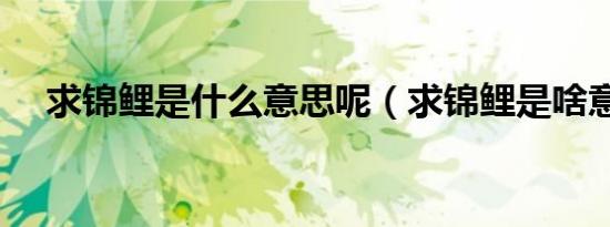 求锦鲤是什么意思呢（求锦鲤是啥意思）