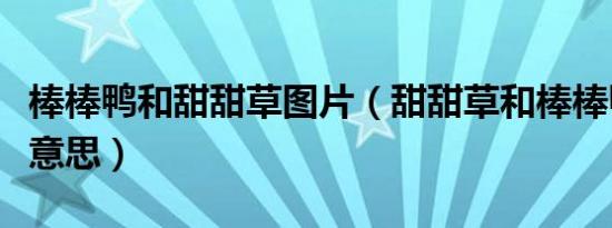 棒棒鸭和甜甜草图片（甜甜草和棒棒鸭是什么意思）