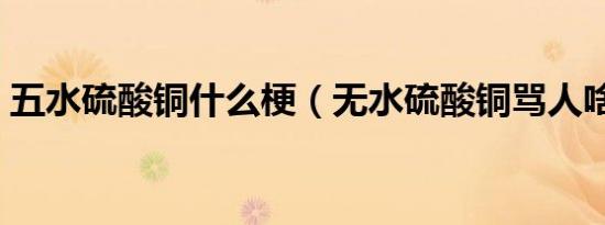 五水硫酸铜什么梗（无水硫酸铜骂人啥意思）