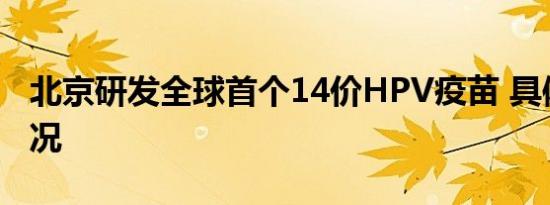 北京研发全球首个14价HPV疫苗 具体是啥情况